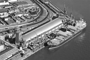 中國(guó)農(nóng)業(yè)走出去步伐加快 漸形成買(mǎi)全球賣(mài)全球格局