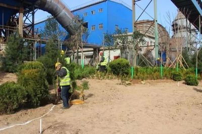 鋼城視角丨【鐵腕治霾】鋼鐵美麗花創(chuàng)建--綠色龍鋼雛形初綻 || 高標準做好屋頂綠化美化工作 打造俯視景觀&ldquo;綠色韓城&rdquo;_財經(jīng)_網(wǎng)